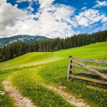 Biobauernhof Kleinummerstall Миттерзилль Экстерьер фото