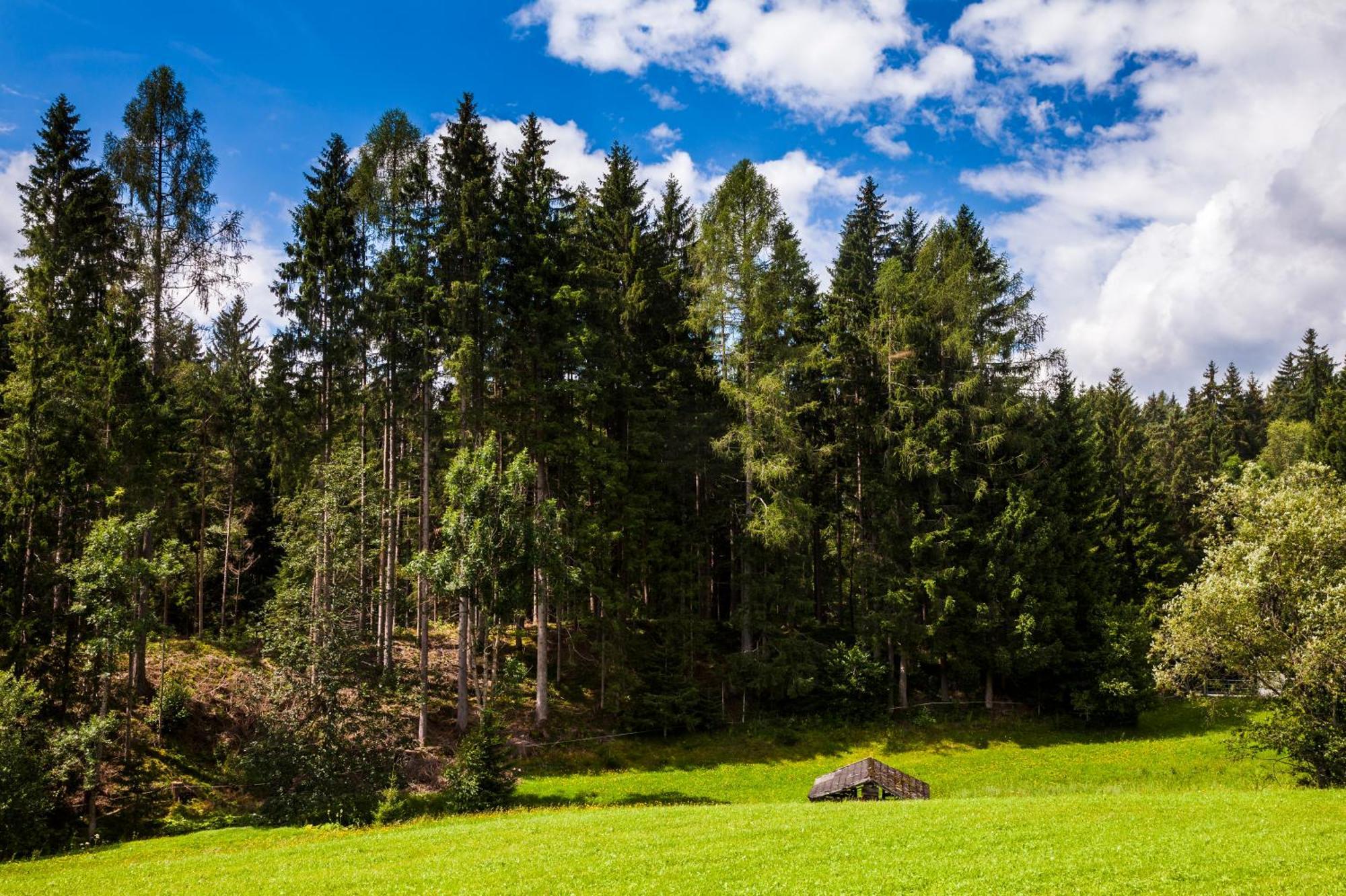 Biobauernhof Kleinummerstall Миттерзилль Экстерьер фото